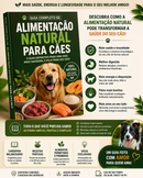 🐶 Guia Completo de Alimentação Natural para Cães
