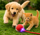 Pet Motion™ | Bolinha Inteligente Antiestresse + Brinde
