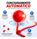 Pet Motion™ | Bolinha Inteligente Antiestresse + Brinde