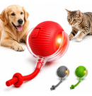 Pet Motion™ | Bolinha Inteligente Antiestresse + Brinde