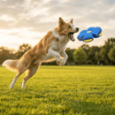 🐕 TurboPet - Brinquedo Interativo 2 em 1 para Cães (Frisbee + Bolinha) 🐾
