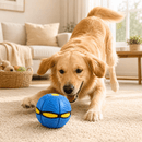 🐕 TurboPet - Brinquedo Interativo 2 em 1 para Cães (Frisbee + Bolinha) 🐾