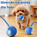Pet Motion™ | Bolinha Inteligente Antiestresse + Brinde